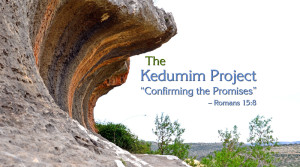 The Kedumim Project - HaTznirim Park