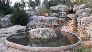 Tznirim Park - Kedumim, Israel