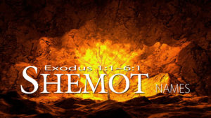 Bible Study - Shemot (Exodus 1:1-6:1)