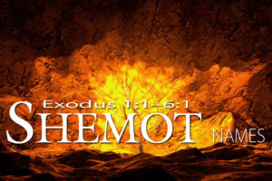 Bible Study - Shemot (Exodus 1:1-6:1)