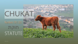 Torah: Chukat (Statute)
