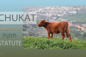 Torah: Chukat (Statute)